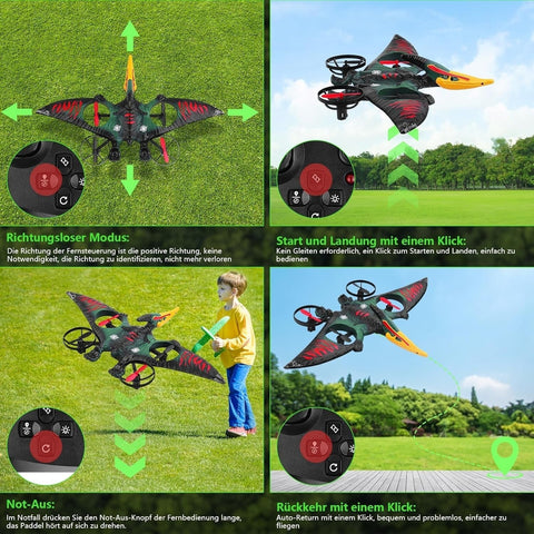 Dragon Remote Controlled Aeroplan